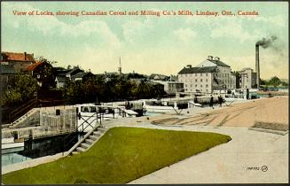 View of Locks, showing Canadian Cereal and Milling Co