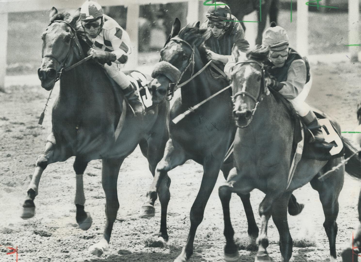 They're off. Robin Platts, one of the leading jockeys on the Ontario thoroughbred racing circuit, urges his mount, Contata (right) to front a few yard(...)