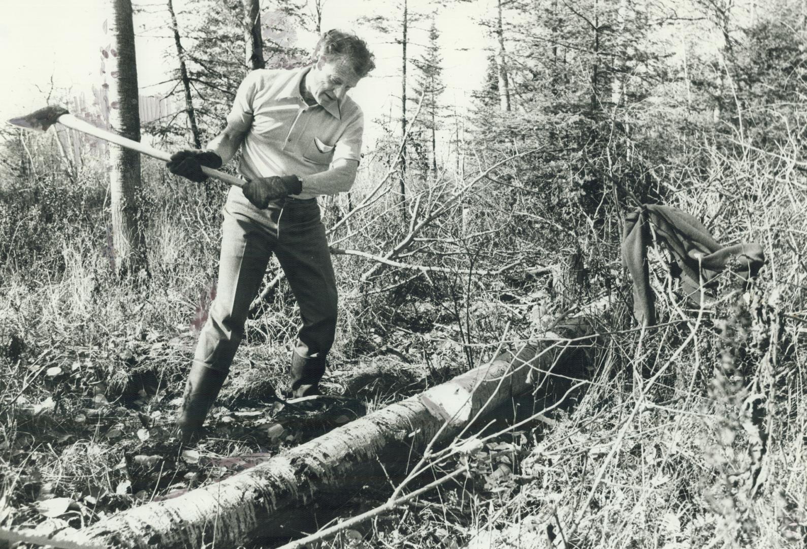 Chairman of royal Commission on electric power planning, Arthur Porter, shown here chopping wood at his cottage, sees a need to swing toward conservin(...)