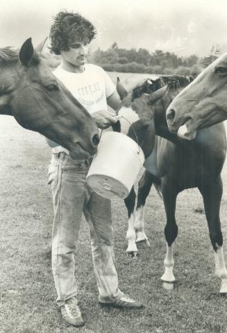 Tending to the horses he boards on his farm near Maple is former defensive back for Toronto Argonauts Larry Uteck