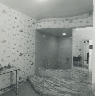 Home at 38 Park Lane Circle Italian marble sunken bath