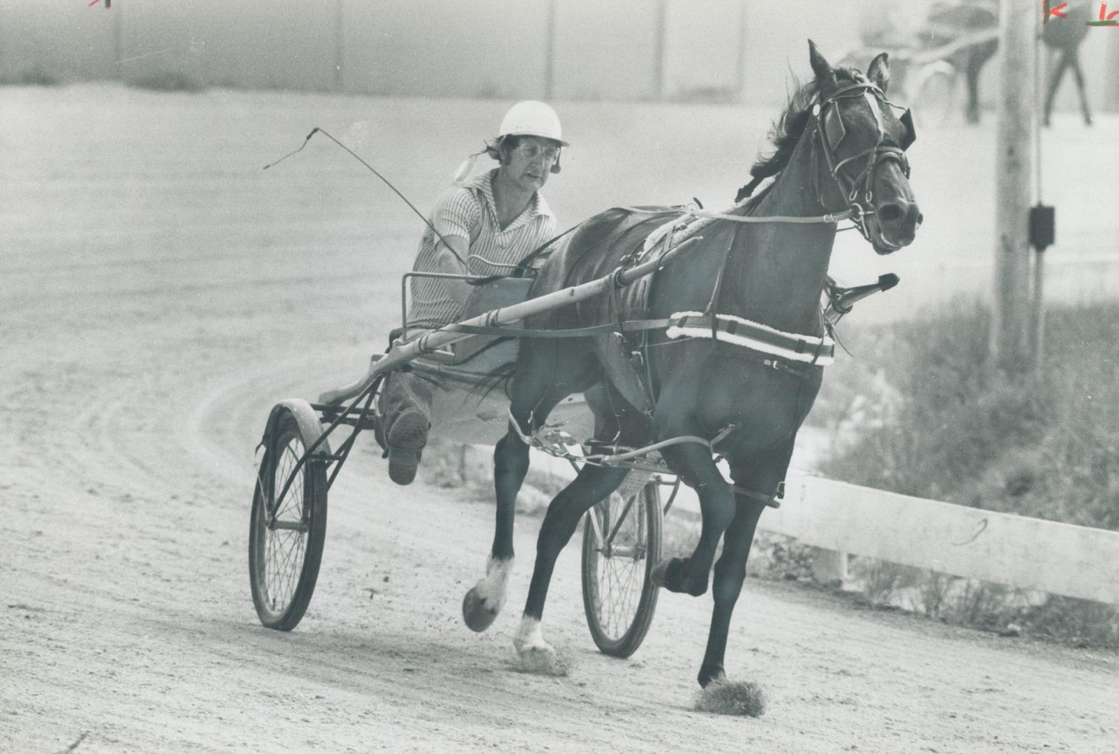 Toronto hockey star Rod Seiling works out one of his horses