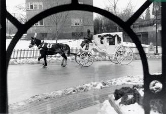 Carriage tour of the historic downtown. Brampton, Ontario