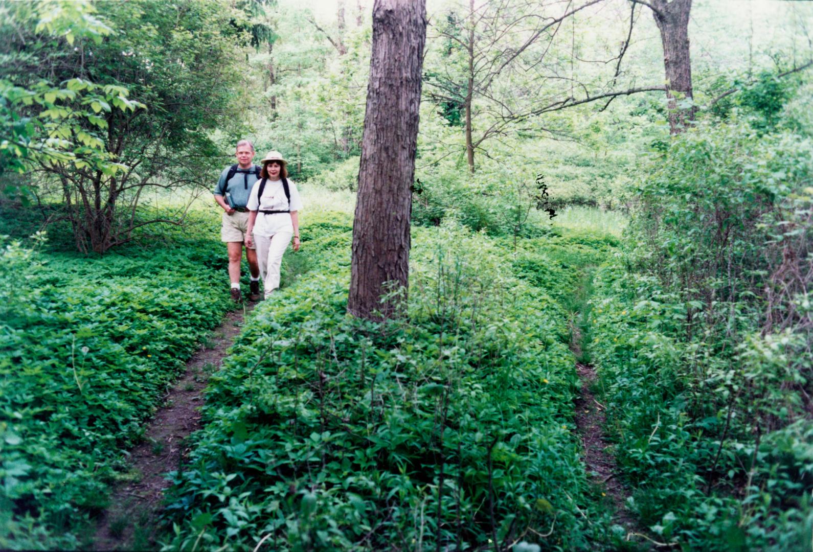 Ken and Karen Gansel. Bruce Trail, Ontario