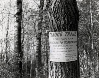 Bruce Trail, Ontario