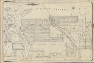 Image shows a detailed map of lots south and west of the Mount Pleasant Cemetery.