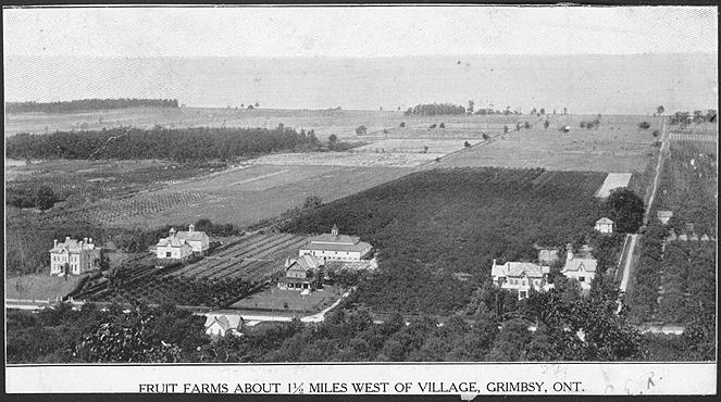 Fruit farms about half a mile west of village, Grimsby, Ontario