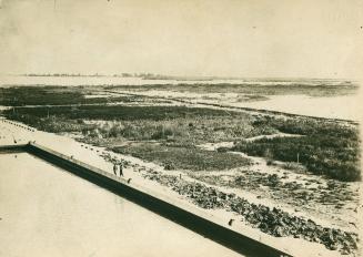 Toronto Harbour circa 1910