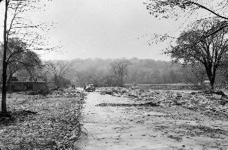 Humber River, looking south on Humber Boulevard between Old Mill Road & Dundas Street West, Toronto, Ontario