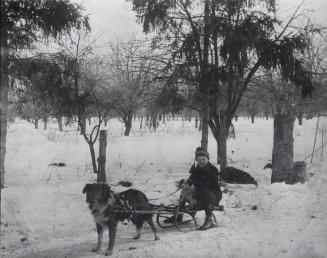 Gordon Playter (son of John L. Playter) on dog sled, near present Jackman Avenue