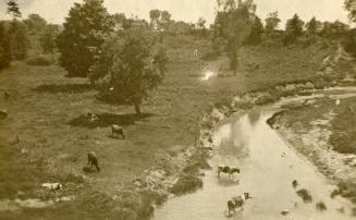Hunter Farm