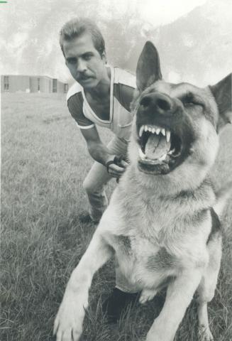Guard dogs gain popularity as protectors