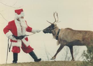 The command On Dasher did the trick in Clement Moore's traditional verse but this reindeer named Dasher proved to be a handful for Santa Claus as he v(...)