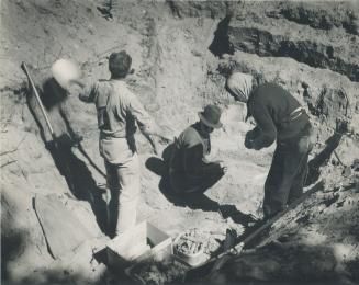 Prof. T. F. McIlwraith, assistant director of the Royal Ontario museum's archaeological department, is supervising the work of this scientific party. (...)