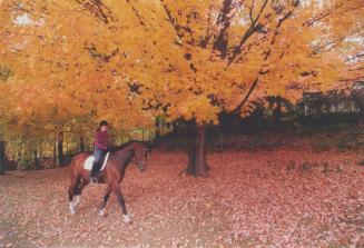 Jane Scott and horse Rebel at Sunnybrook Park