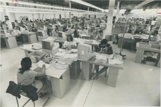 Completing the head-count, in Canada's first do-it-yourself census, some of the 775 university students working at the Southern Ontario regional offic(...)