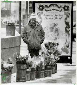 So much for spring, Rick Mills, clad in a parka against the cold weather, sells flowers at Front and Bay Sts