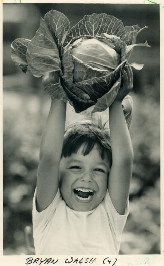 Midsummer harvest: Four-year-old Bryan Walsh is plenty proud of the head of cabbage his mom helped grow in the tiny garden plot tended by single mothers in Regent Park housing project