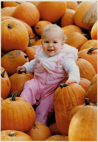 Mom, I've found the perfect jack-o-lantern!, Seven-month-old Haley Smith of Brampton is plunk in the middle of a pile of pumpkins for sale at 8827 Mississauga Rd.