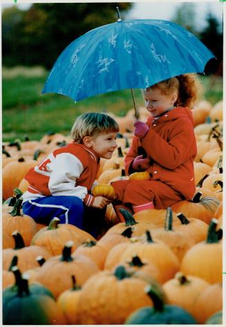 Plunked down in pumpkin patch, Alex McLeod, 5, and Stephanie Cousens, 5, of Georgetown share a love of pumpkins - and a umbrella - while visiting Andr(...)