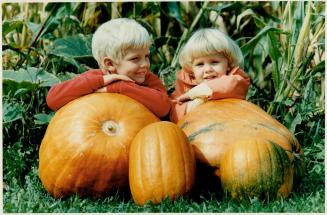 Peter pumpkin-eater would love these beauties, Andrew Wannop, 6 and his sister Alison, 3, admire some of the Big max pumpkins raised by their mother on their Markham farm