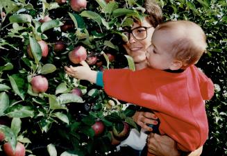 It's apple-picking time, and 13-month-old Samuel Benson and mother Susan sample the new harvest