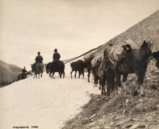 Wolverine Pass 11071 [with pack horses]