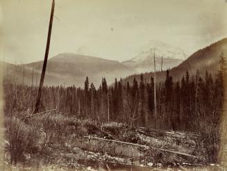 Mount Milton Range from Albreda Lake, B