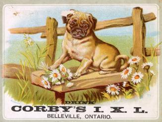 Trade card advertisement depicting an illustration of a pug-like dog sitting on a bench with da ...