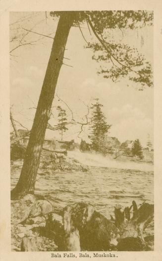 Sepia toned photograph of water flowing over a waterfall into a lake with a large tree in the f ...