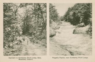 Two black and white pictures of scenery in wooded areas in the bush.
