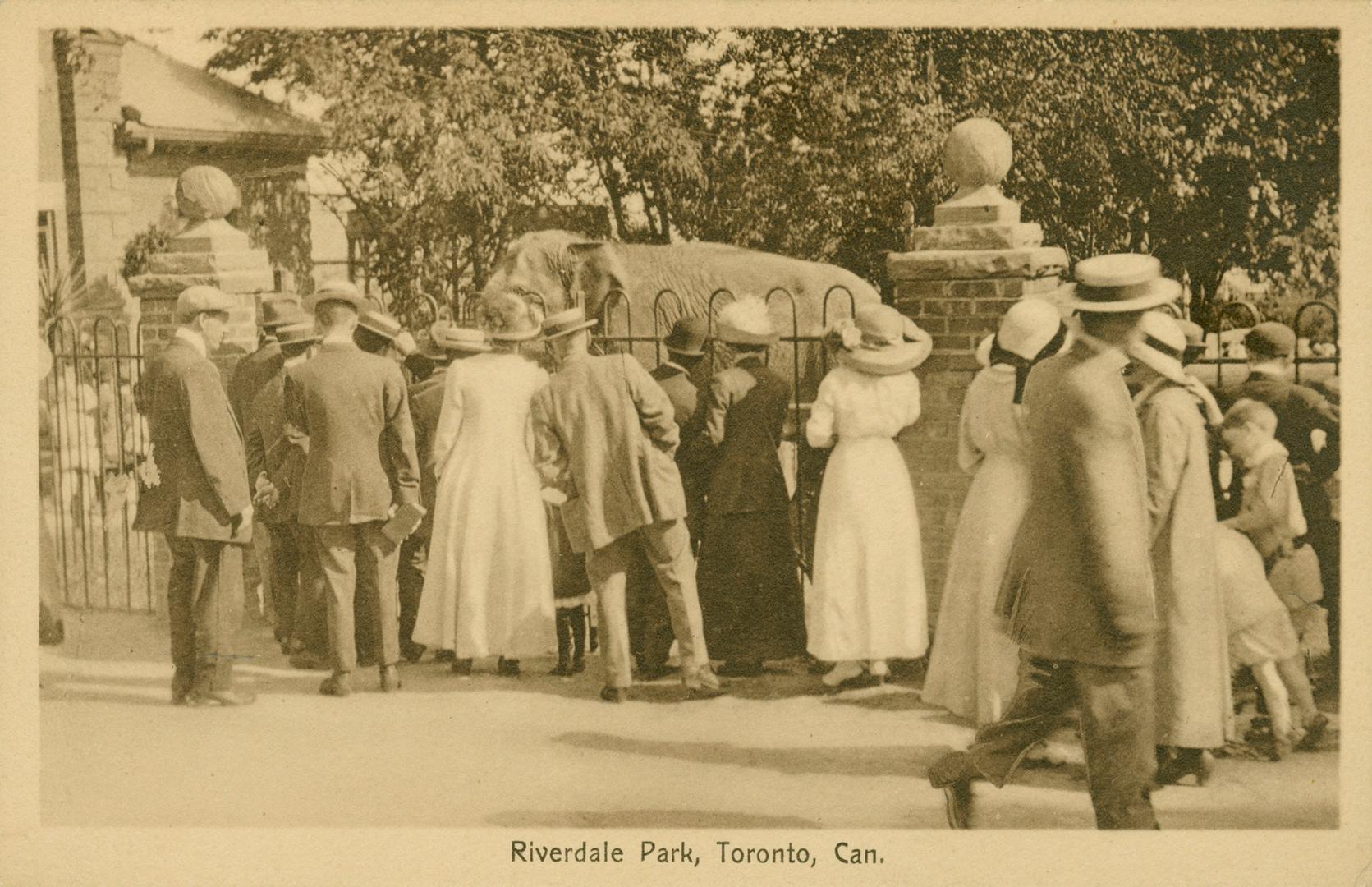 Sepia toned picture of a crowd of people looking at a elephant behind a iron fence.