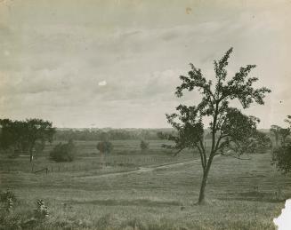 A photograph of a semi-rural area, with trees, fields and a road and fence running through the …