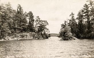 Black and white photograph of a lake in a wild, wooded area.