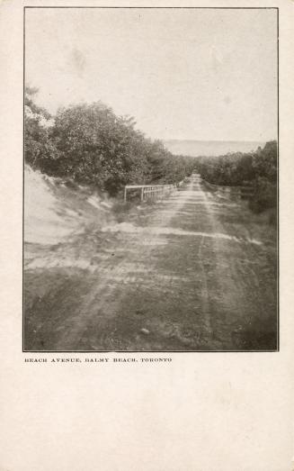 Photo of a dirt road lined by trees leading to lake. 