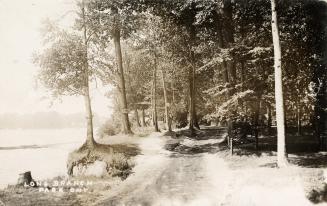 Sepia-toned photo postcard depicting a pathway through a forest alongside a shoreline and small ...
