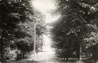 Black and white photo postcard depicting a bridge passing through dense trees with a man walkin ...