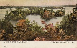 Colorized photograph of trees in fall colors covering islands in the middle of a waterway.