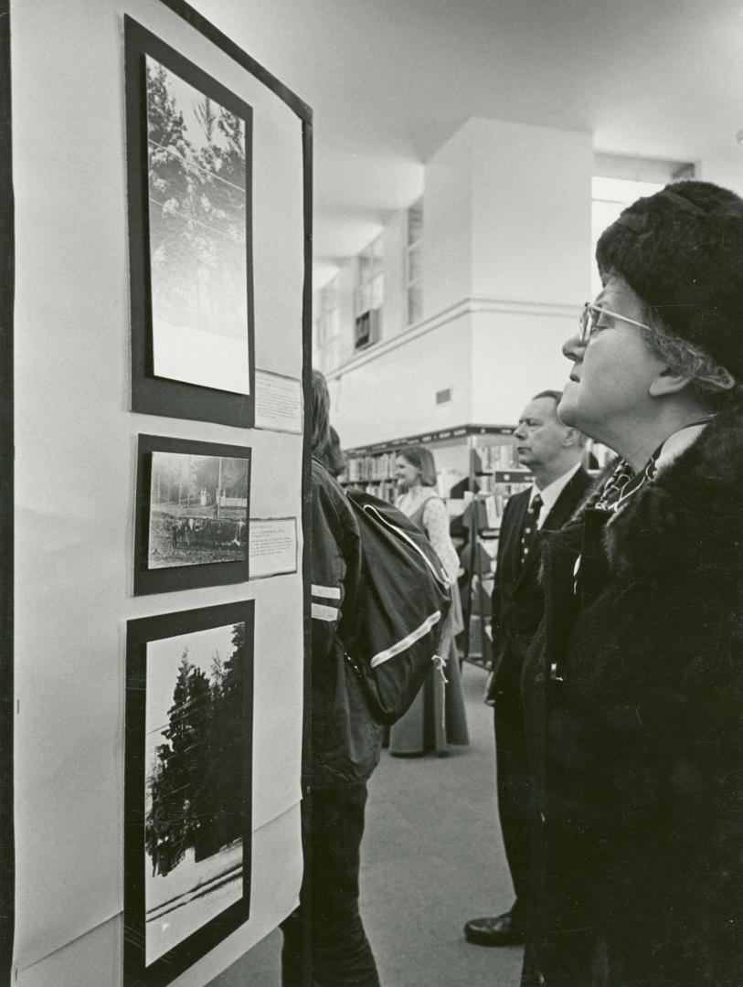 Picture of woman looking at a display of photographs. 