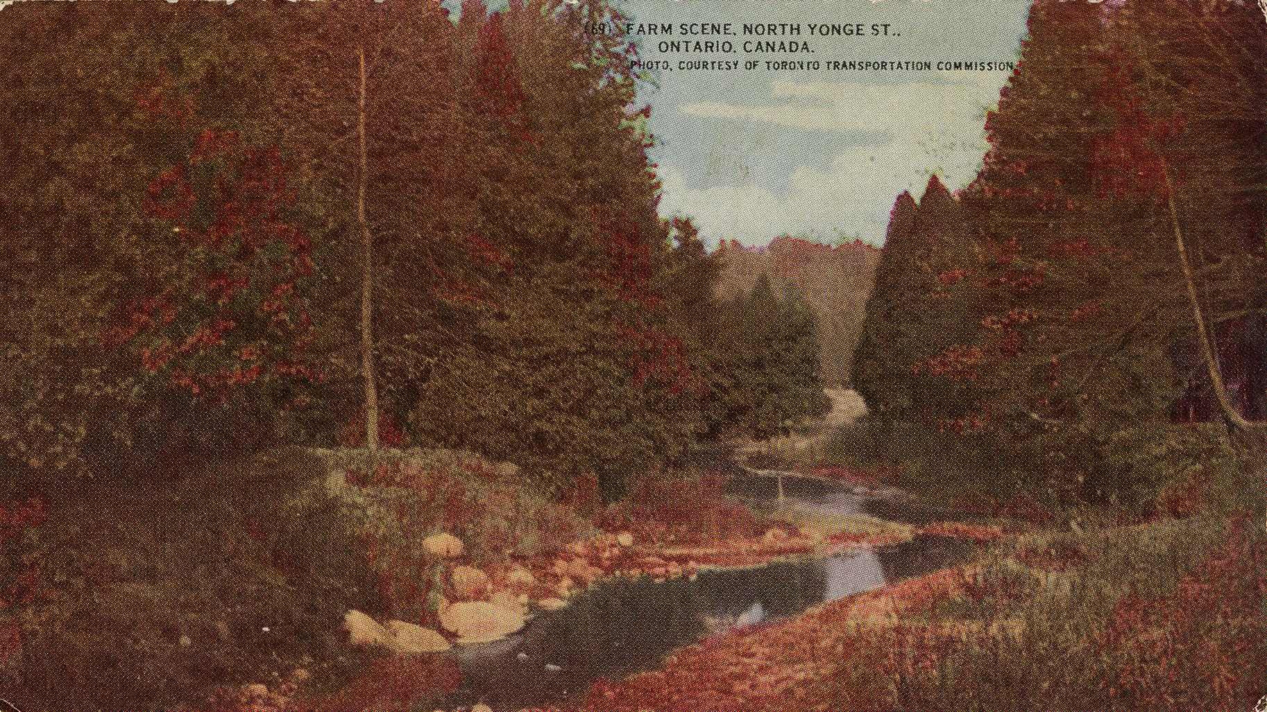 Colour postcard depicting a nature scene with a river winding through a forest. The caption at  ...