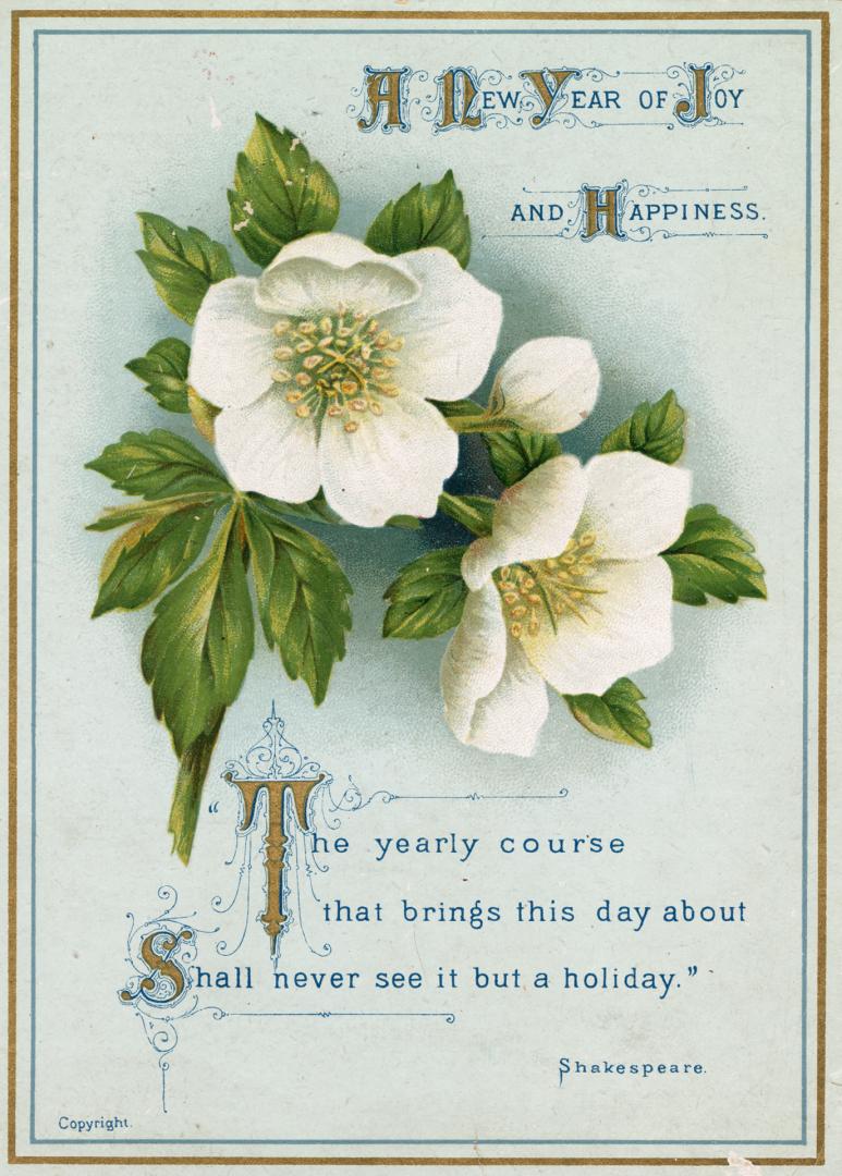 The card pictures white flowers with yellow centres and green leaves against a light blue backg ...