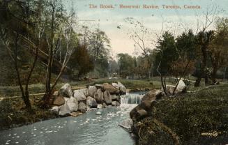 Colorized photograph of a stream with a waterfall in a forested area. 