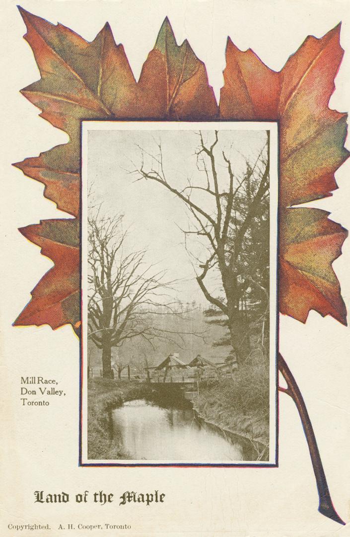 Black and white photograph of wooden bridge spanning a narrow stream.