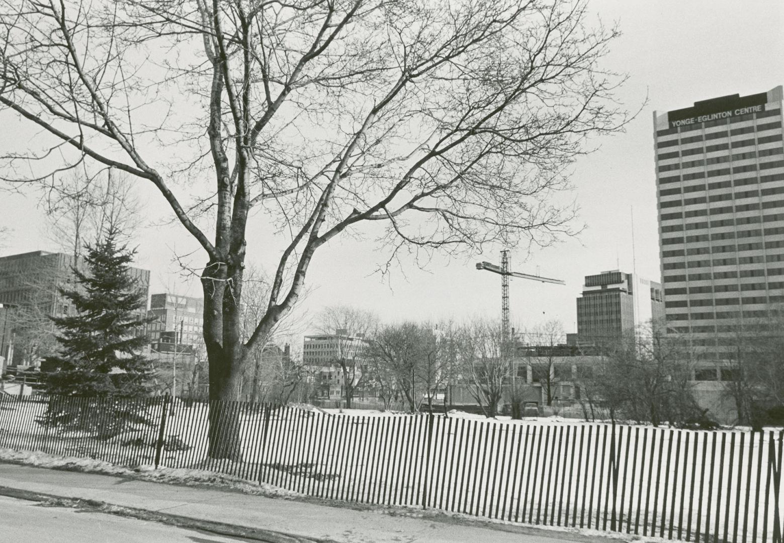 Picture of empty building lot surrounded by wooden fencing. 