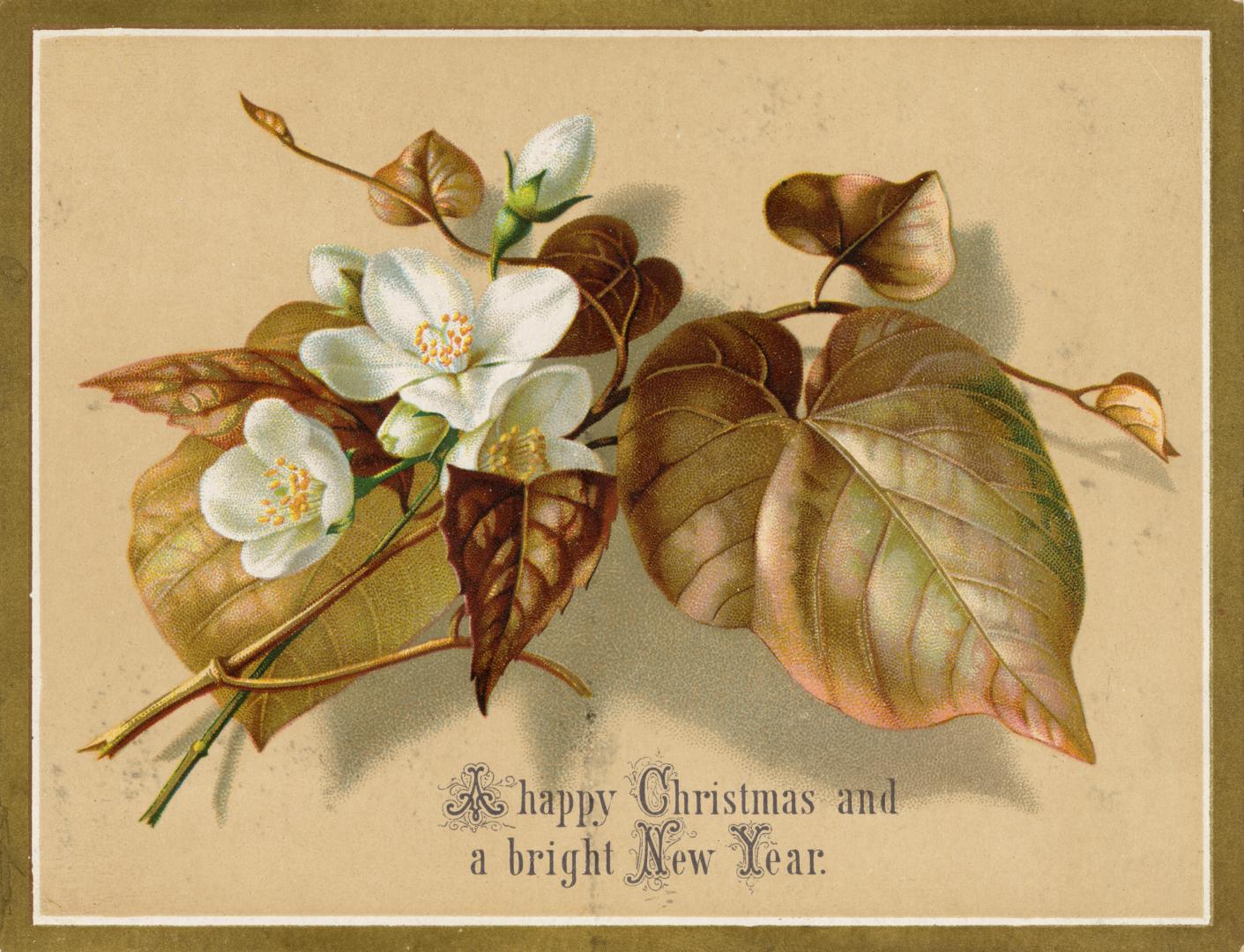 A beige card. White flowers with bronze leaves are pictured at its centre.