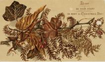 The front of the card pictures a tree branch, foliage, and berries rendered in shades of brown, ...