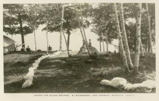 Black and white photograph of people sitting on a shoreline with birch trees in the foreground. ...