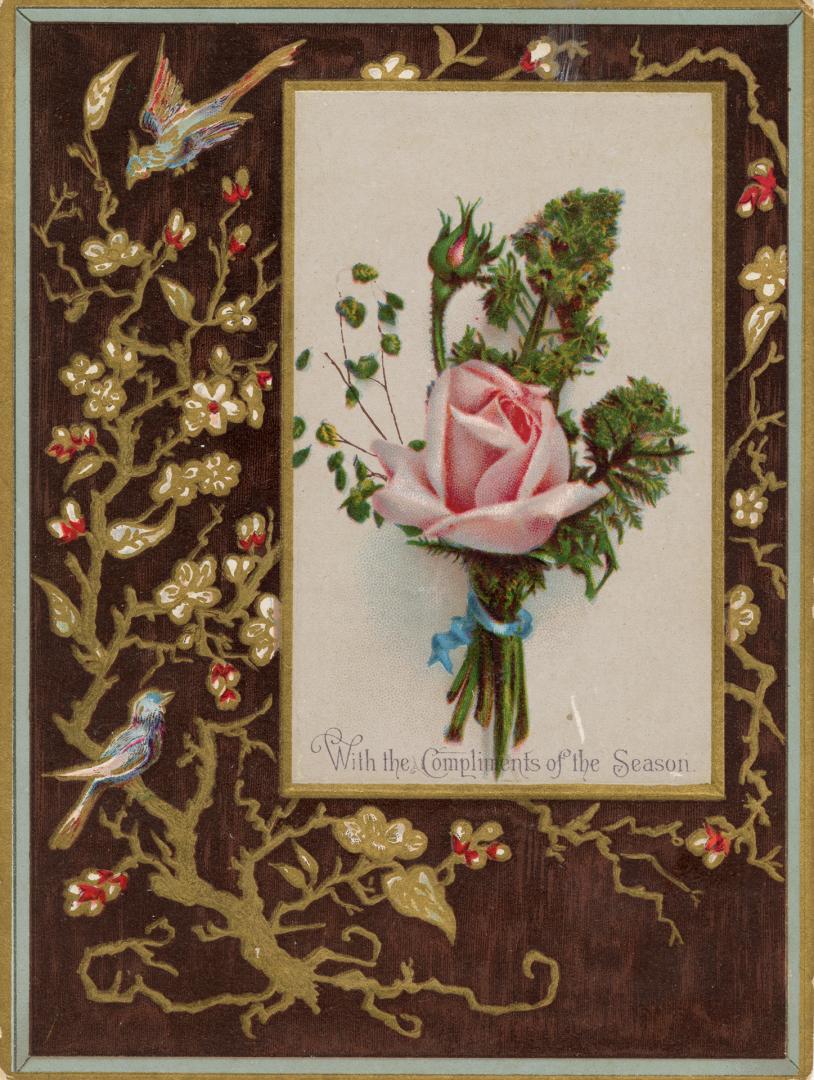 A pink rose is pictured. It occupies the centre and upper right portions of the card. Framing i ...