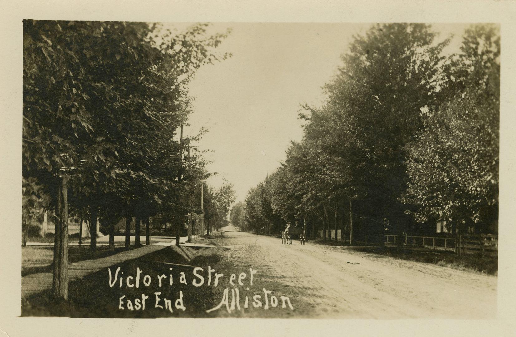 Black and white photograph of dirt street flanked by a board sidewalk and trees.