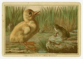 The card pictures a duckling and a frog facing each other at the edge of a body of water. The d…
